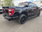 2023 F-150 Thumbnail 4
