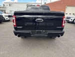 2023 F-150 Thumbnail 6