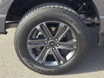 2023 F-150 Thumbnail 7