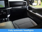 2023 F-150 Thumbnail 14