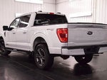 2023 F-150 Thumbnail 5