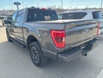 2023 F-150 Thumbnail 4