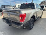 2023 F-150 Thumbnail 6