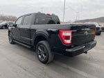 2023 F-150 Thumbnail 6