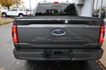 2023 F-150 Thumbnail 6