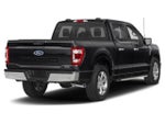 2023 F-150 Thumbnail 2