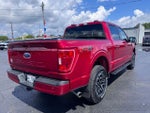 2021 F-150 Thumbnail 3