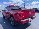 2021 F-150 Thumbnail 4