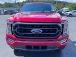 2021 F-150 Thumbnail 5
