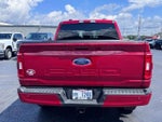 2021 F-150 Thumbnail 6
