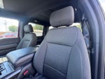 2021 F-150 Thumbnail 11