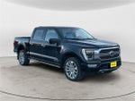 2021 F-150 Thumbnail 7
