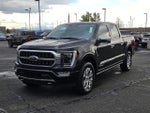 2021 F-150 Thumbnail 7