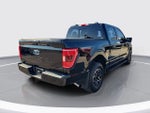 2021 F-150 Thumbnail 4