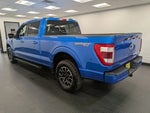 2021 F-150 Thumbnail 4