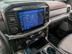 2021 F-150 Thumbnail 9