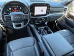 2021 F-150 Thumbnail 12
