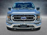 2021 F-150 Thumbnail 2