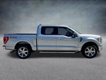2021 F-150 Thumbnail 4