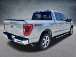 2021 F-150 Thumbnail 5