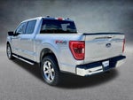 2021 F-150 Thumbnail 8