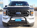 2021 F-150 Thumbnail 7