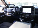 2021 F-150 Thumbnail 13