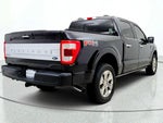 2021 F-150 Thumbnail 5