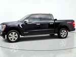 2021 F-150 Thumbnail 8