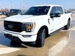 2021 F-150 Thumbnail 8