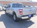 2021 F-150 Thumbnail 3