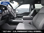 2022 F-150 Thumbnail 11