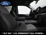 2022 F-150 Thumbnail 14