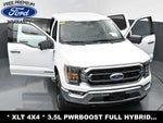 2022 F-150 Thumbnail 34
