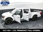 2022 F-150 Thumbnail 36