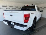 2022 F-150 Thumbnail 24