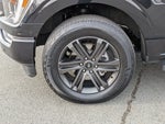2022 F-150 Thumbnail 11