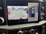 2023 F-150 Thumbnail 19