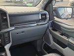 2023 F-150 Thumbnail 19