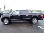 2023 F-150 Thumbnail 2