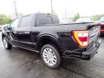 2023 F-150 Thumbnail 4