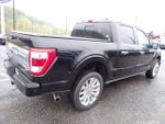 2023 F-150 Thumbnail 8