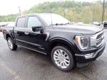 2023 F-150 Thumbnail 11