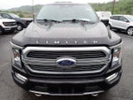 2023 F-150 Thumbnail 12