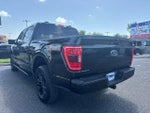 2023 F-150 Thumbnail 3