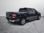 2023 F-150 Thumbnail 5