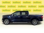 2023 F-150 Thumbnail 12
