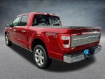 2023 F-150 Thumbnail 6