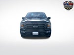 2023 F-150 Thumbnail 8
