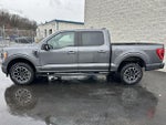 2023 F-150 Thumbnail 4